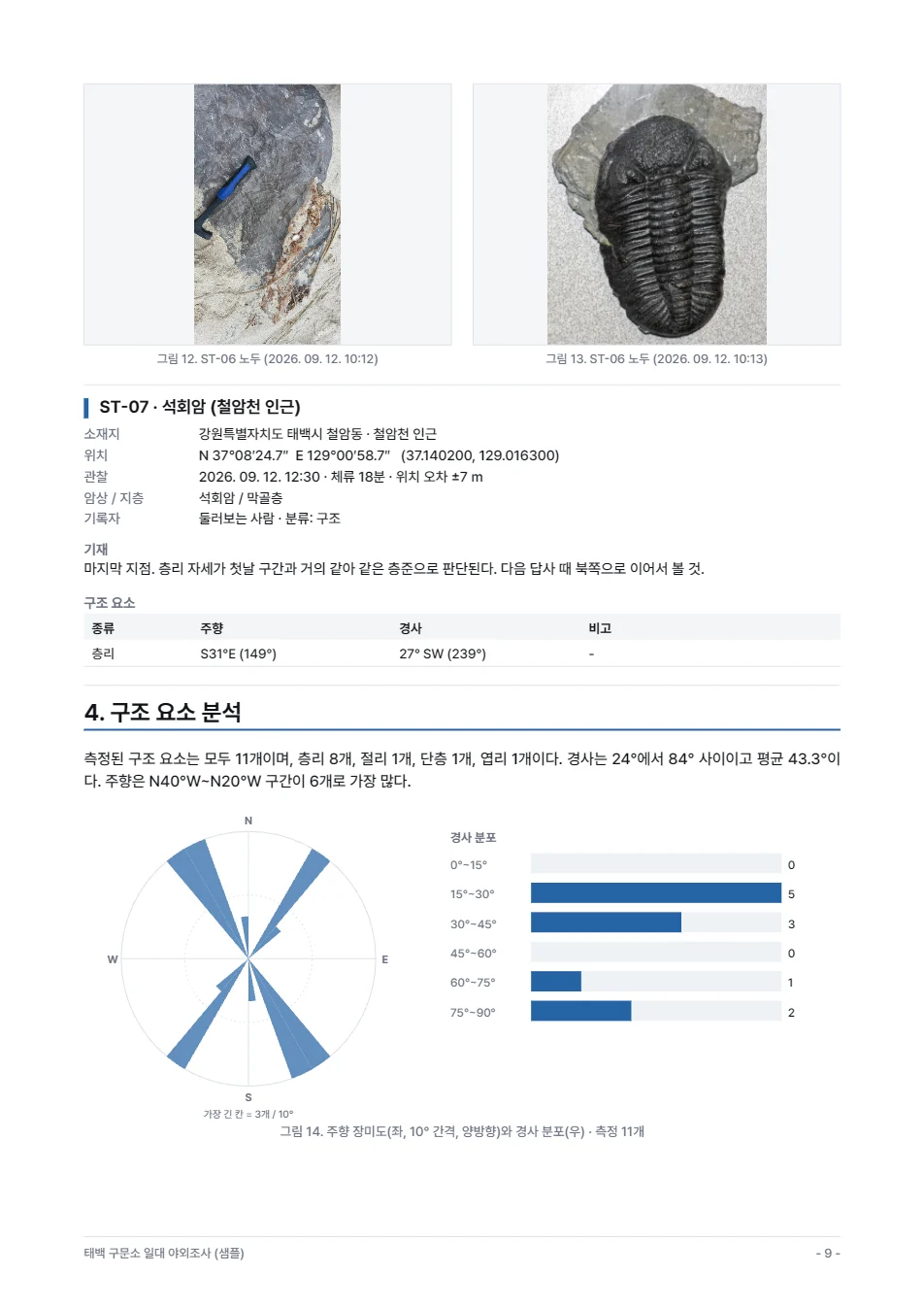 보고서의 구조 요소 분석 쪽(장미 도표)